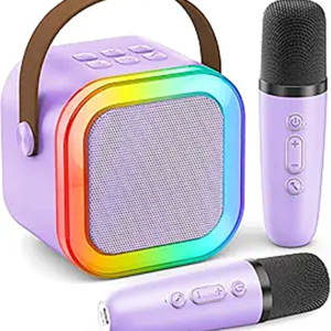 Mobile KTV (dual microphone)